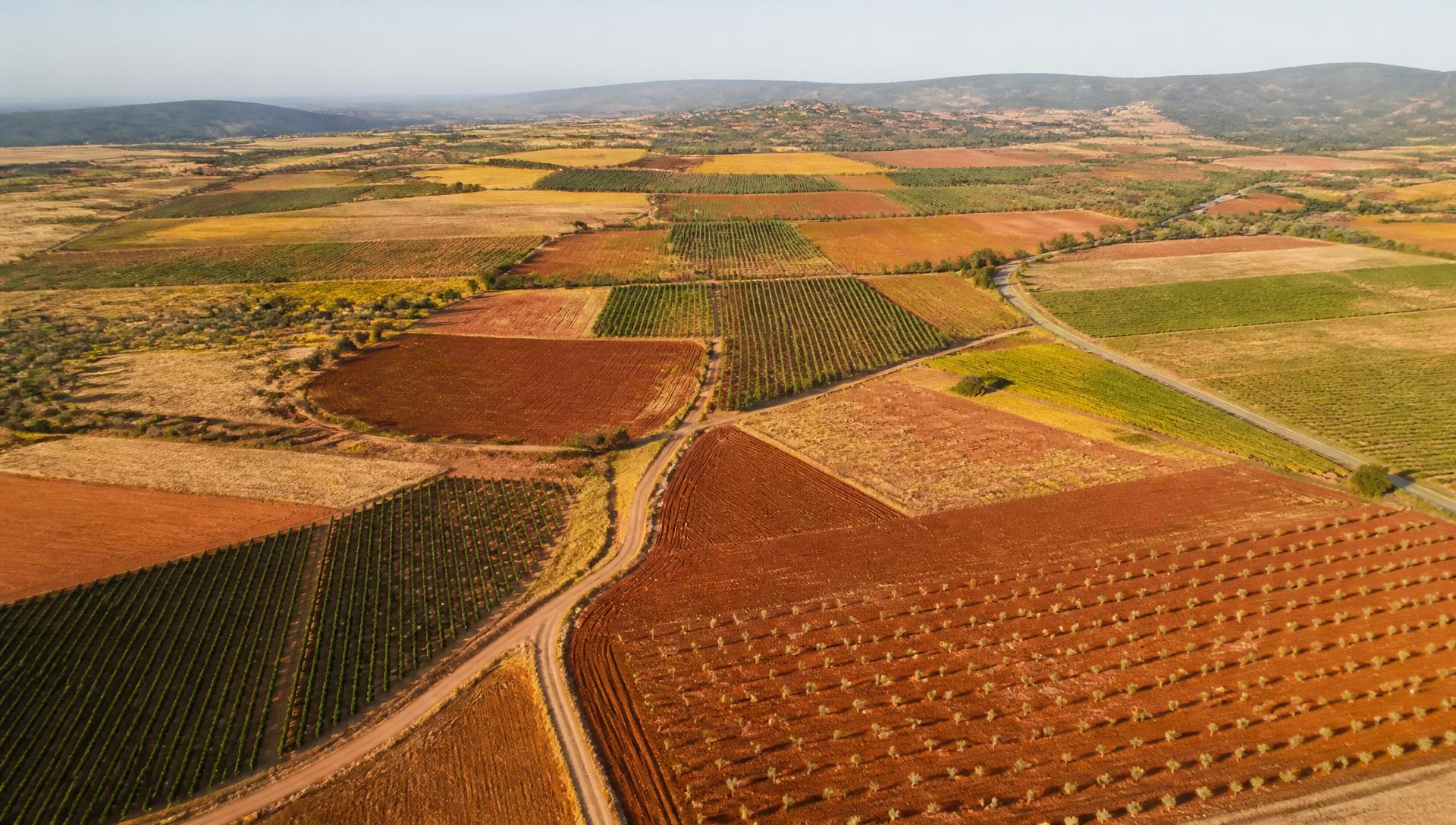 Luchtfoto van bewerkte landbouwpercelen in warme aardetinten